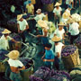 Eggplant market