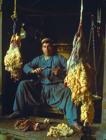 Butcher with fat-tail sheep