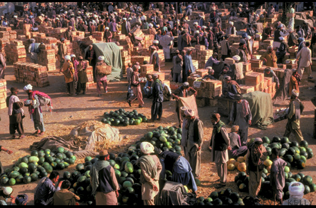 Melon market