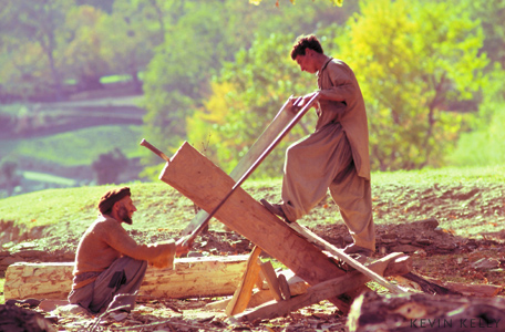 Lumber sawers