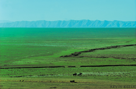 steppe in asia